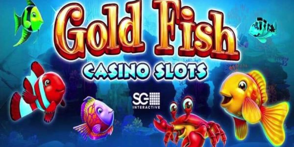 Gold Fish Casino Slots Dive into an Ocean of Wins